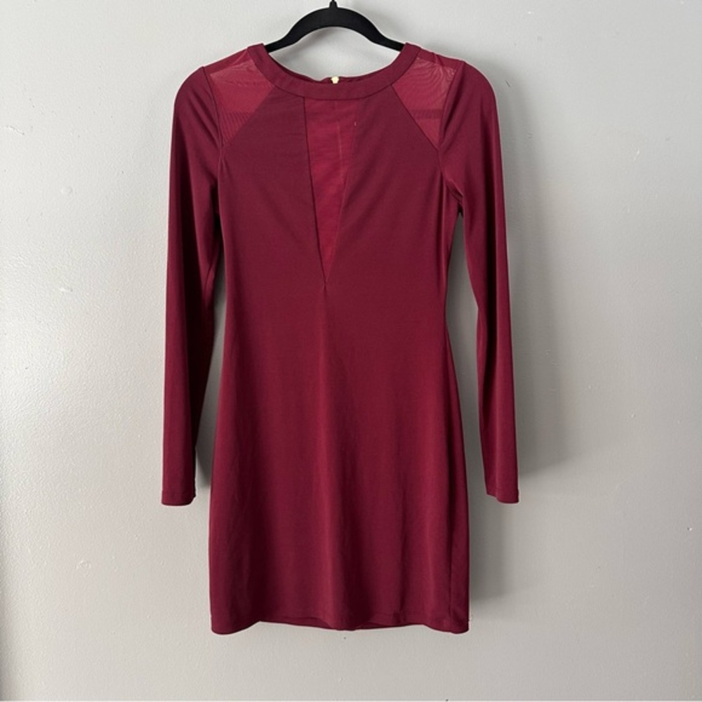 Express Mesh‎ Shoulder Crew Neck Long Sleeve Bodycon Mini Dress | Burgundy